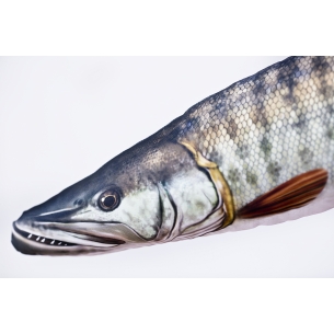 name 2
