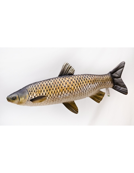 name